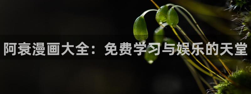 香蕉漫画在线观看入口免费